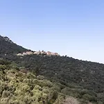 A Casa Assulanata Cinto Apartment *